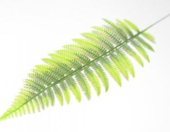 Искусственные цветы, Ветка - лист папортника крупный для венка (1010237) зеленый комбинированный