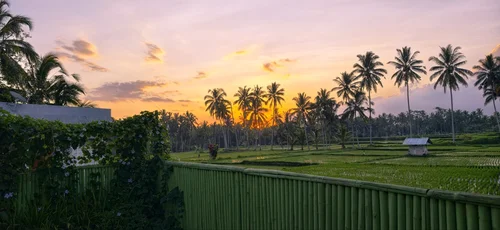 Villa in Ubud, Bali, Indonesia — 1 bedroom — photo 6