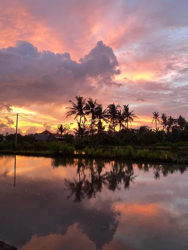 Property in Gianyar, Bali, Indonesia — photo 3