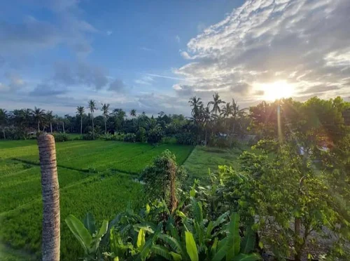 Room in Ubud, Bali, Indonesia — 1 bedroom — photo 8