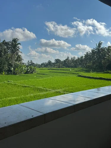 Villa in Ubud, Bali, Indonesia — 4 bedrooms — photo 2