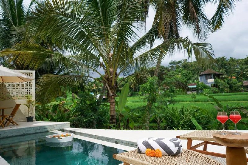 Villa in Ubud, Bali, Indonesia — 2 bedrooms — photo 1