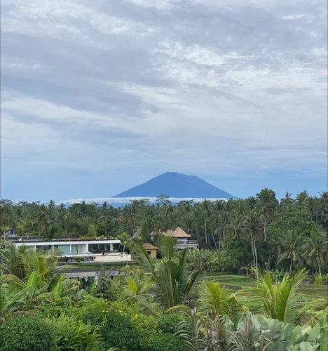 Room in Ubud, Bali, Indonesia — 1 bedroom — photo 2