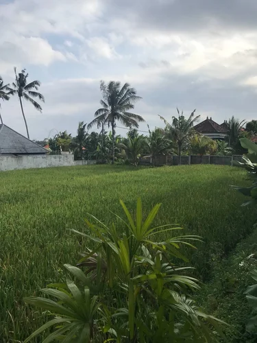 Room in Ubud, Bali, Indonesia — 1 bedroom — photo 7