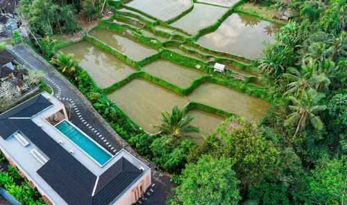 Villa in Ubud, Bali, Indonesia — 4 bedrooms — photo 4