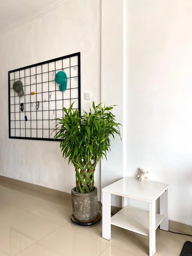 Room in Canggu, Bali, Indonesia — 1 bedroom — photo 4