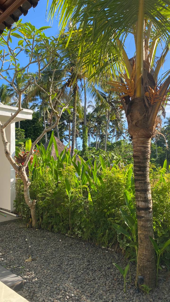 Villa in Ubud, Bali, Indonesia — 1 bedroom — photo 1
