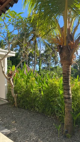 Villa in Ubud, Bali, Indonesia — 1 bedroom — photo 1