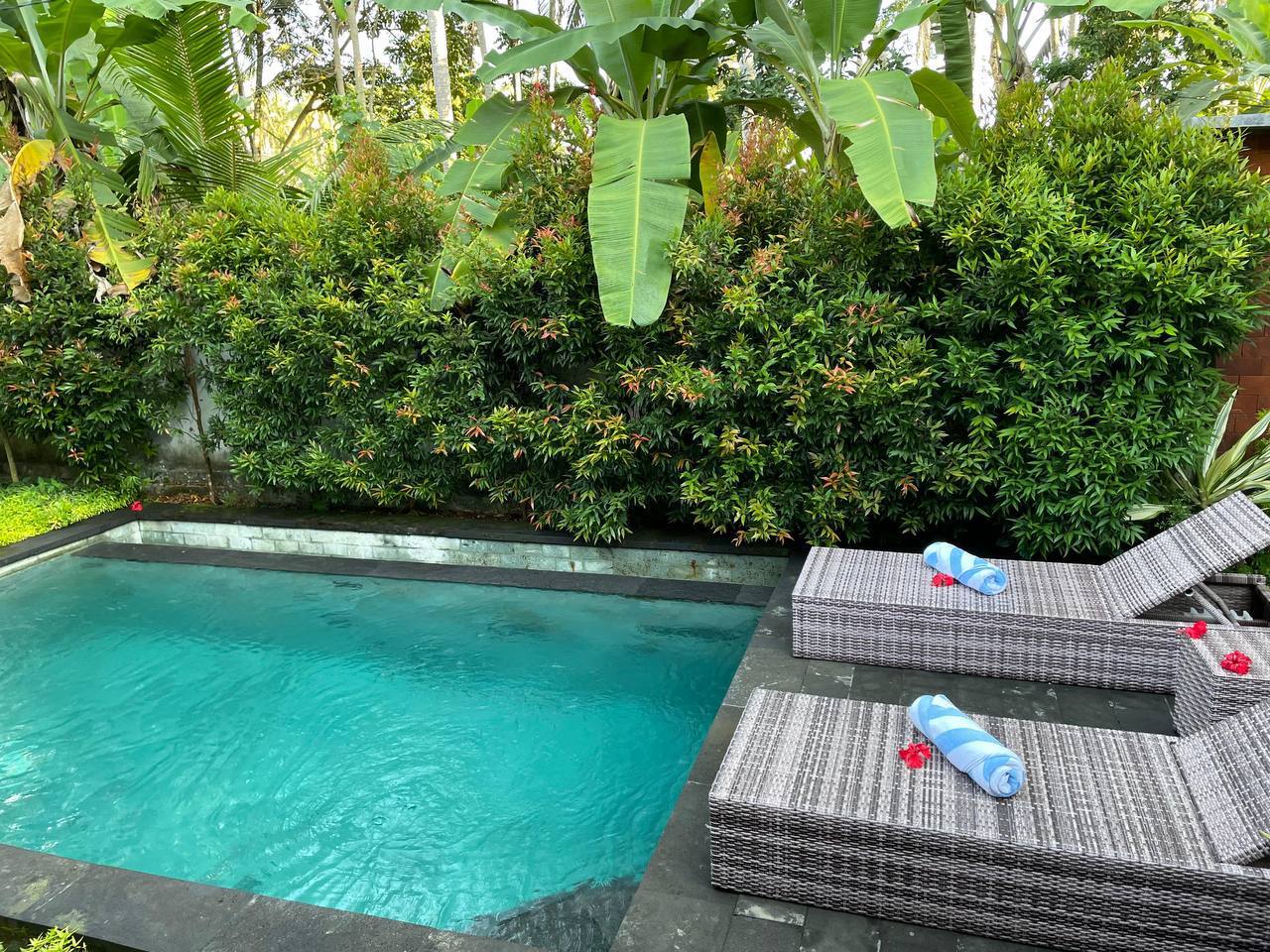 Villa in Ubud, Bali, Indonesia — 2 bedrooms — photo 1