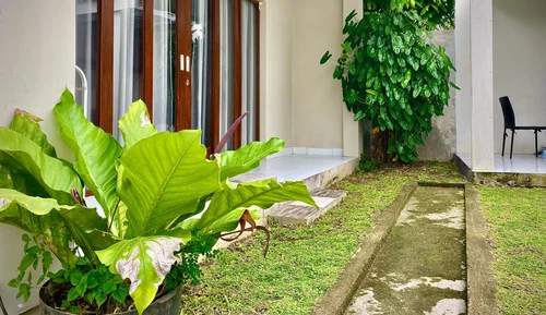 Guest House in Canggu, Bali, Indonesia — 1 bedroom — photo 5