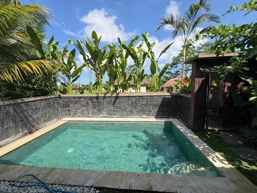Villa in Ubud, Bali, Indonesia — 1 bedroom — photo 3