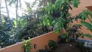 Villa in Ubud, Bali, Indonesia — 2 bedrooms — video 8