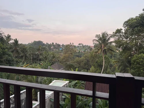 Villa in Ubud, Bali, Indonesia — 1 bedroom — photo 3