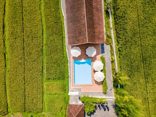 Apartment in Ubud, Bali, Indonesia — 1 bedroom — photo 6