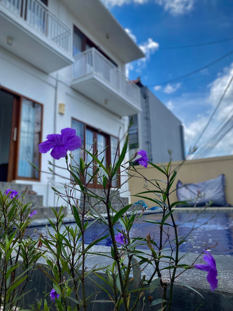 Room in Canggu, Bali, Indonesia — 1 bedroom — photo 1