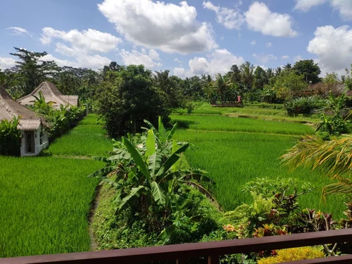 Villa in Ubud, Bali, Indonesia — 1 bedroom — photo 2