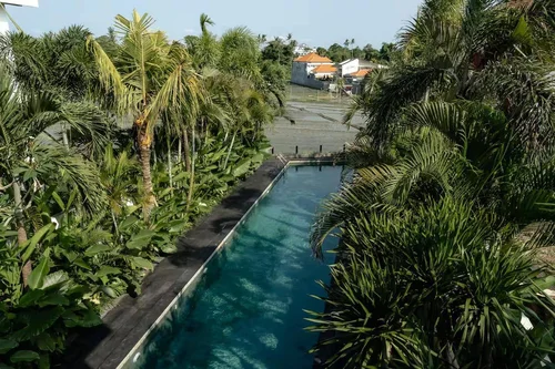 Villa in Canggu, Bali, Indonesia — 5 bedrooms — photo 4