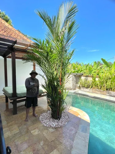 Room in Ubud, Bali, Indonesia — 1 bedroom — photo 3