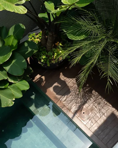Villa in Canggu, Bali, Indonesia — 3 bedrooms — photo 2