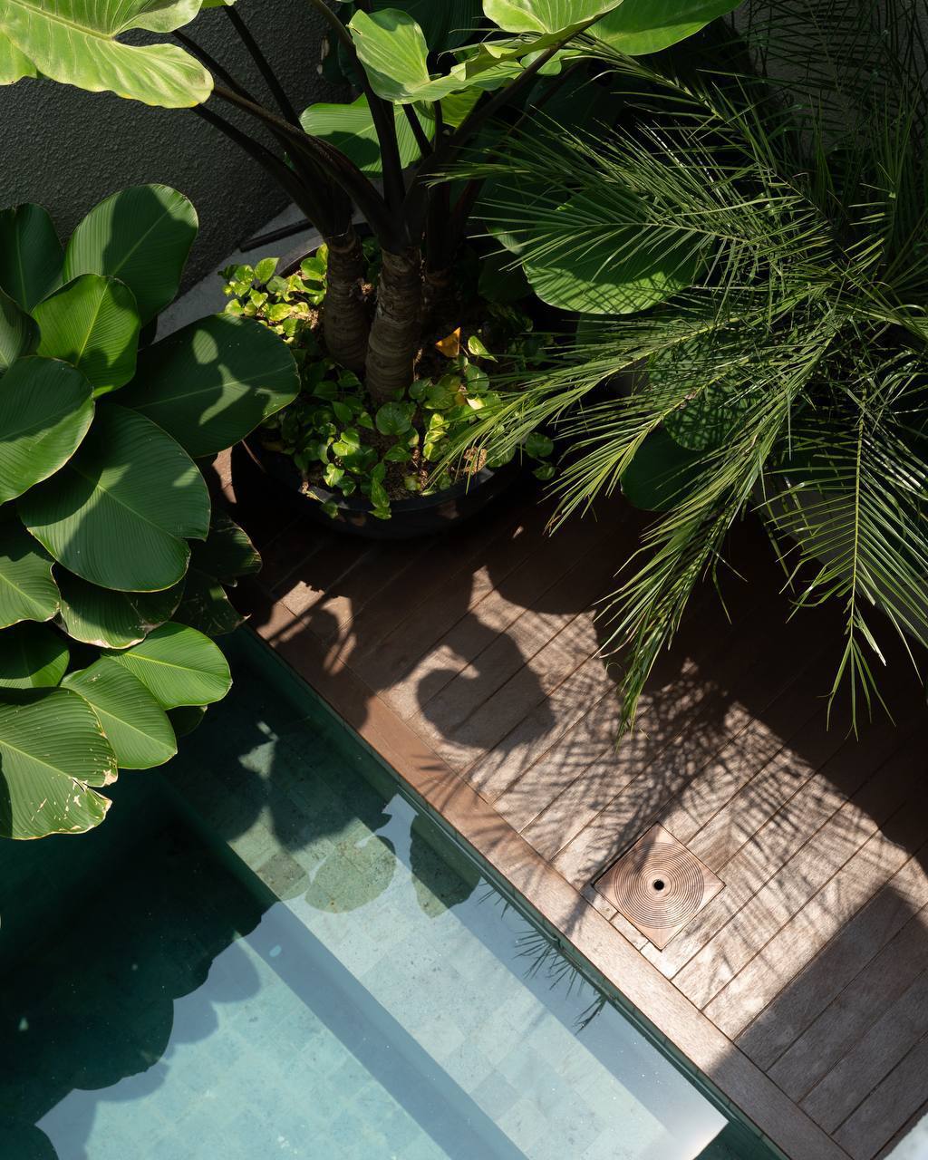 Villa in Canggu, Bali, Indonesia — 3 bedrooms — photo 1