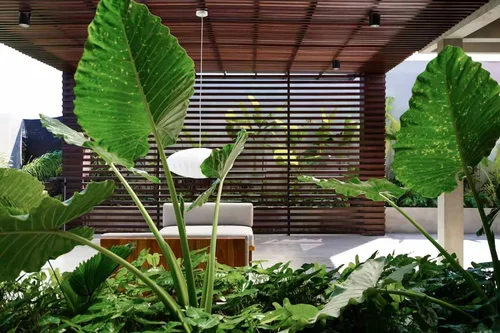 Villa in Uluwatu, Bali, Indonesia — 3 bedrooms — photo 4