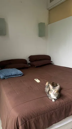 Room in Canggu, Bali, Indonesia — 1 bedroom — photo 2