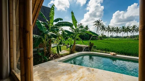 Villa in Canggu, Bali, Indonesia — 1 bedroom — photo 2
