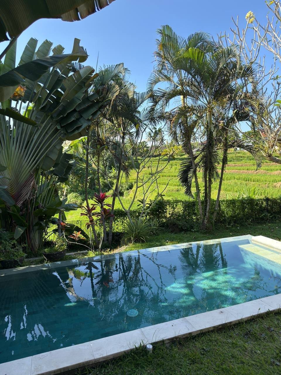 Villa in Ubud, Bali, Indonesia — 3 bedrooms — photo 1