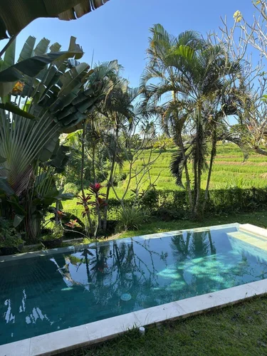 Villa in Ubud, Bali, Indonesia — 3 bedrooms — photo 1