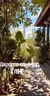 Apartment in Sanur, Bali, Indonesia