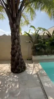 Villa in Ubud, Bali, Indonesia — 2 bedrooms — video 2