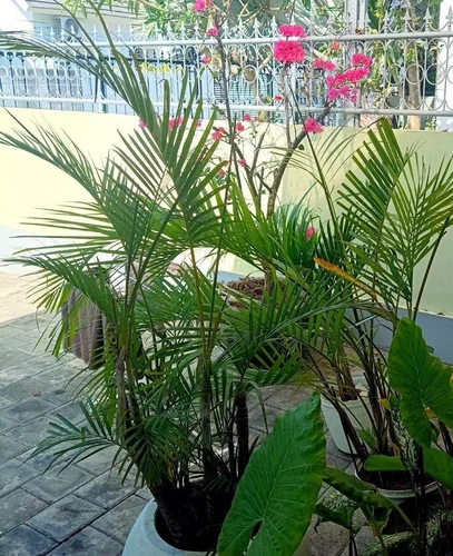 Villa in Nusa Dua, Bali, Indonesia — 2 bedrooms — photo 7