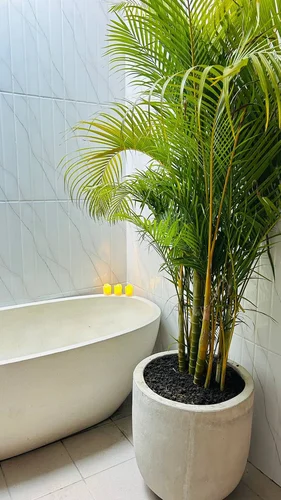Villa in Tabanan, Bali, Indonesia — 2 bedrooms