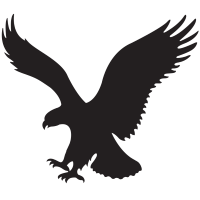 AEOR_logo