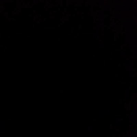 AIPU_logo