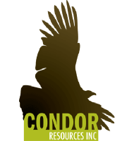 CNRI_logo
