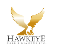 HAWK_logo
