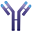 IMVT_logo