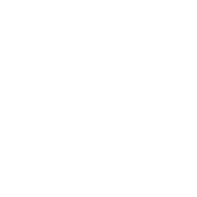 NAVA_logo