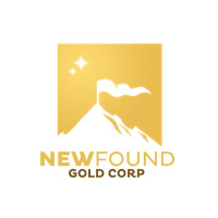 NFG_logo