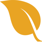 NLVV_logo