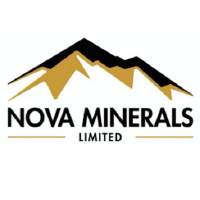 NVAA_logo