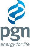 PGAS_logo
