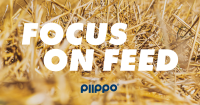 PIIP_logo
