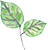 PLTX_logo