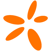 SNN_logo