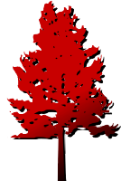 SOU_logo