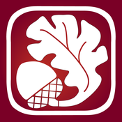 STBI_logo
