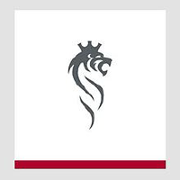 STG_logo