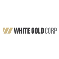 WGO_logo